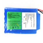 22.2V 8000mAh 6S4P 8Ah battery with XT60 JST SYP connector for electric scooter hoverboard - Image 3